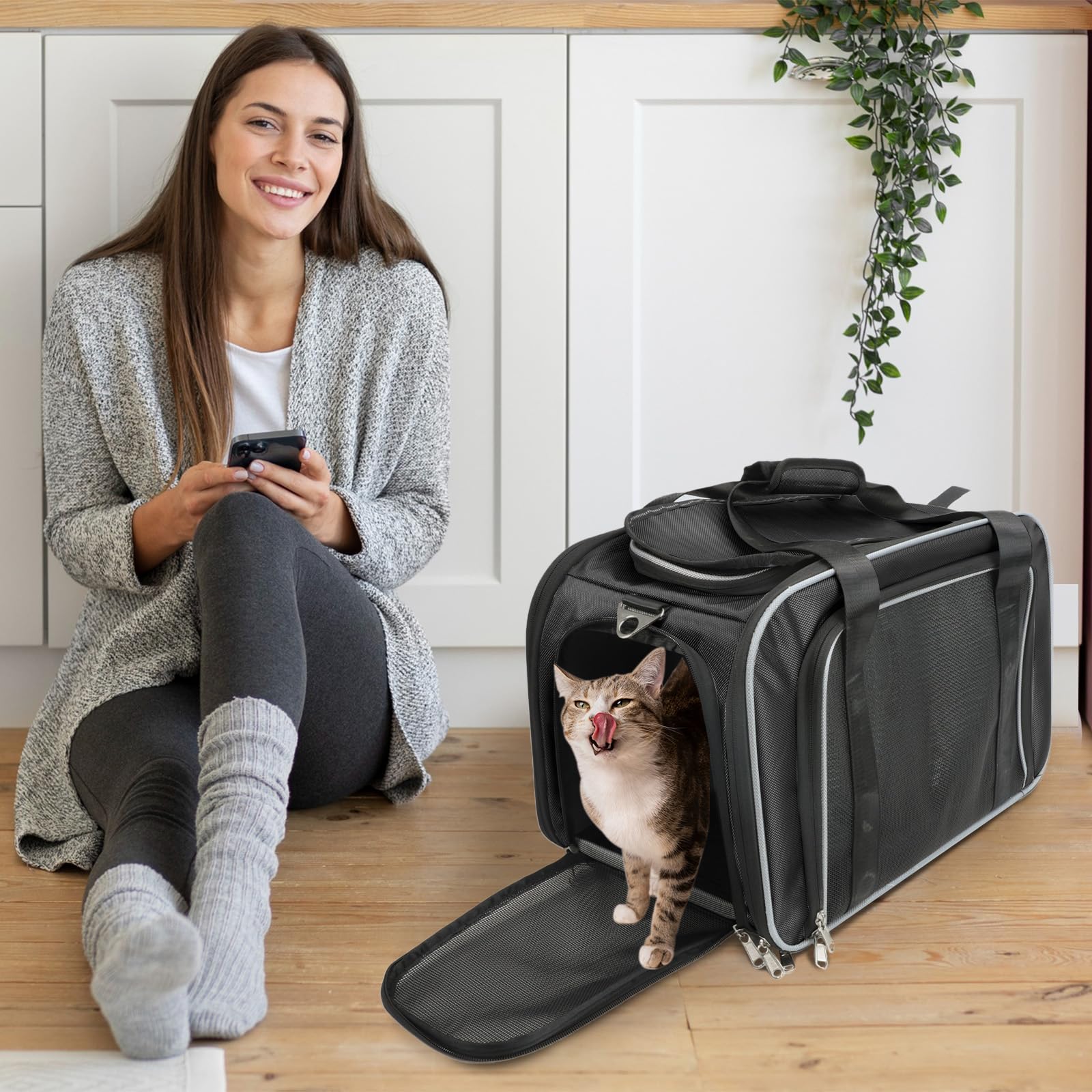 katzentransportbox hundetransportbox faltbar große Haustiertasche für Katze und Kleine Hunde im Auto, Fugzeug oder in der Bahn