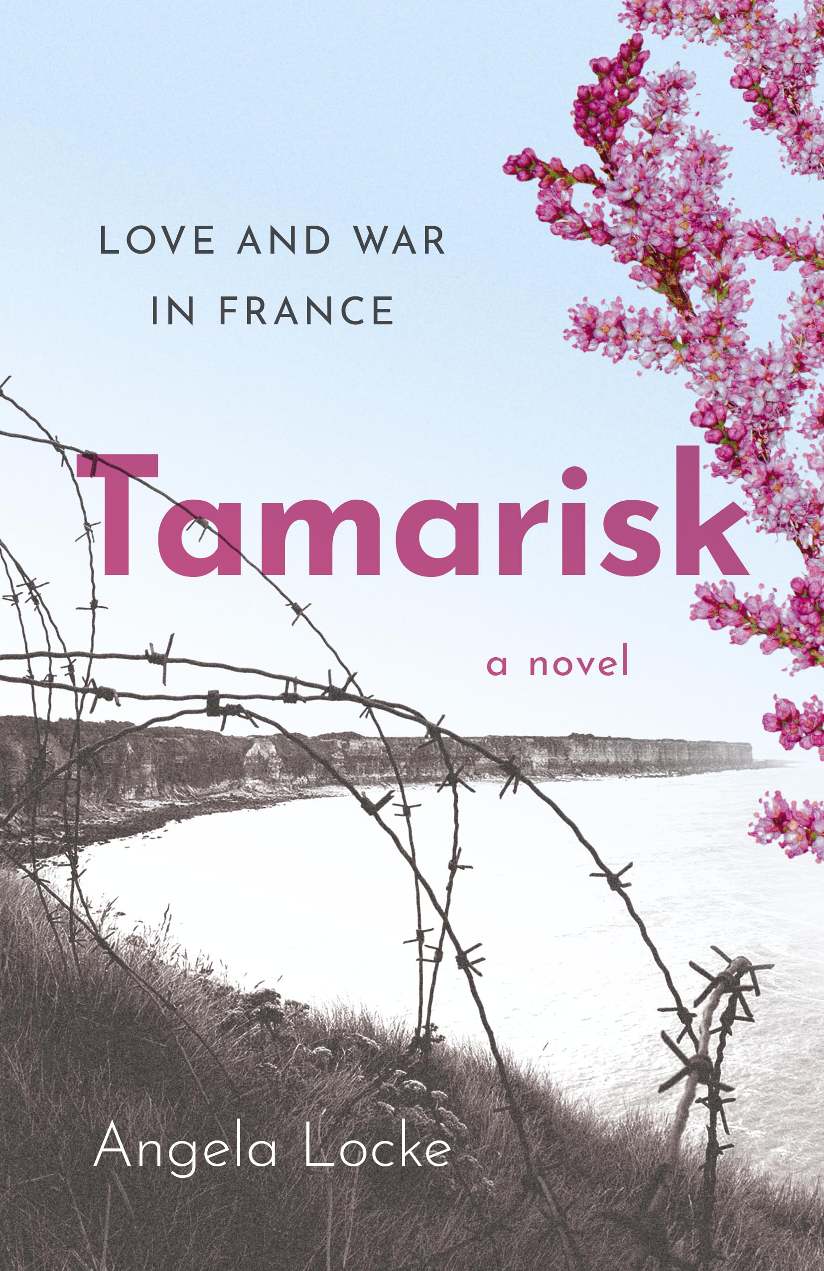 Tamarisk: Love and War in France - A Novel