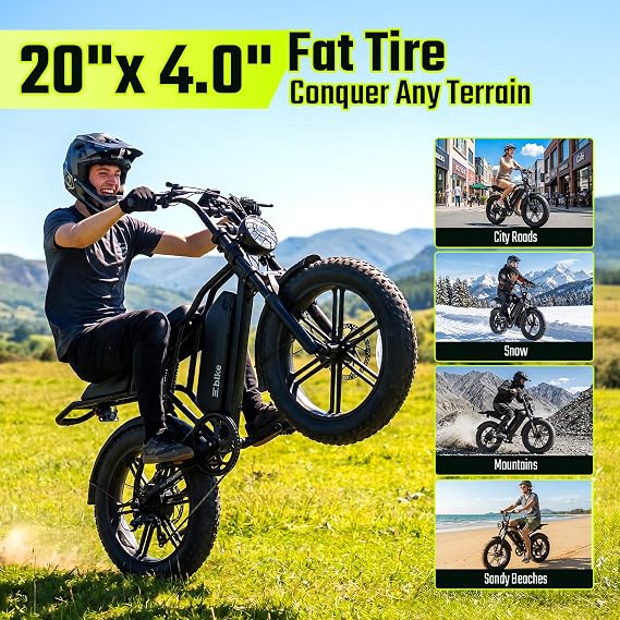 TS TST GRP LLC Electric Bike for Adults, 1500W Peak Motor Ebike, 20 x 4.0 Fat Tire E Bike, 48V 15Ah Removable Battery, Dual Suspension, Disc Brakes, LCD & APP Control, for Commuting Off-Road