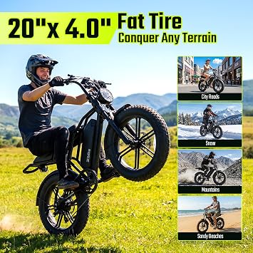 TS TST GRP LLC Electric Bike for Adults, 1500W Peak Motor Ebike, 20 x 4.0 Fat Tire E Bike, 48V 15Ah Removable Battery, Dual Suspension, Disc Brakes, LCD & APP Control, for Commuting Off-Road