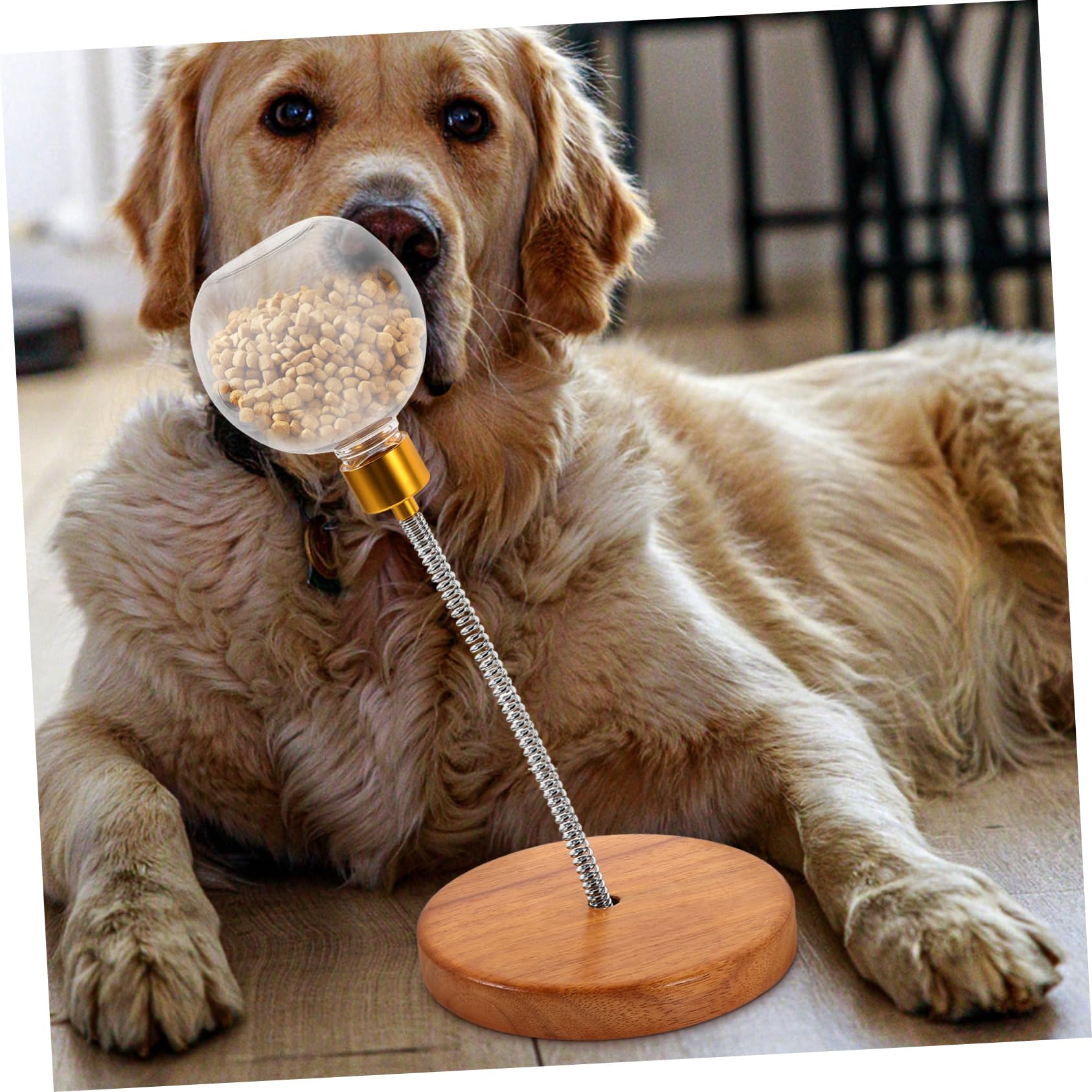 Kisangel Snackball Interaktives Hundespielzeug aus Kunststoff und Edelstahl für Hunde zum Langsamen Füttern und Hundetraining für Große und Mittelgroße Hunde