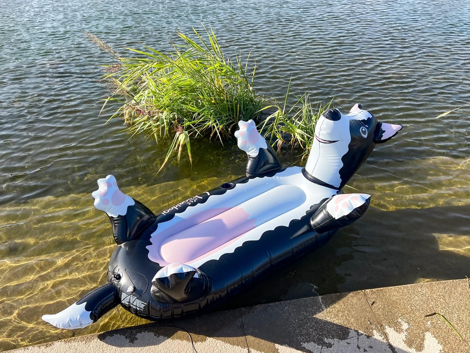 Summer Inflatable Black Dog Pool Float for Teens, Adults, and Pets