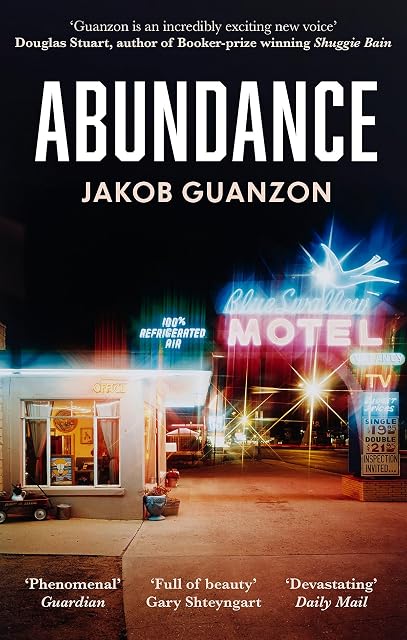 Portada de Abundance
