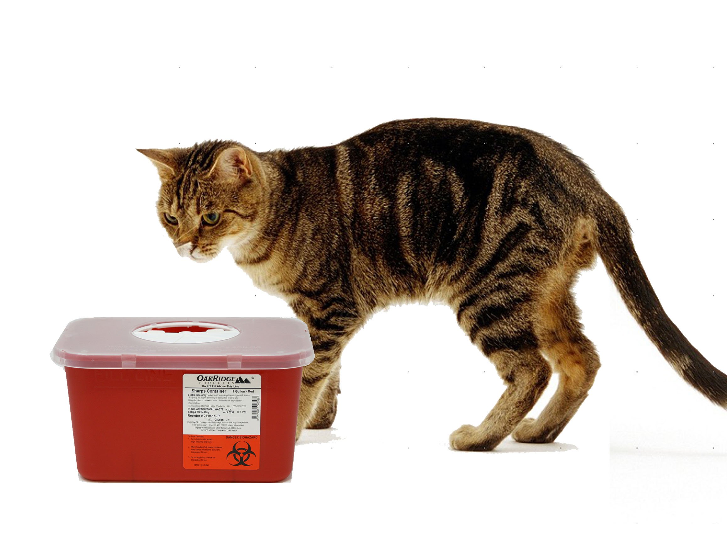Oak Ridge Products - Sharps 1Qt Container