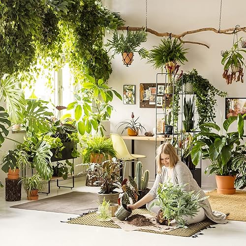 Miniatura 7 de Briignite Bombillas de crecimiento, 4 modos de crecimiento de espectro completo, sincronización de 391218H, bombilla A19 regulable para plantas,