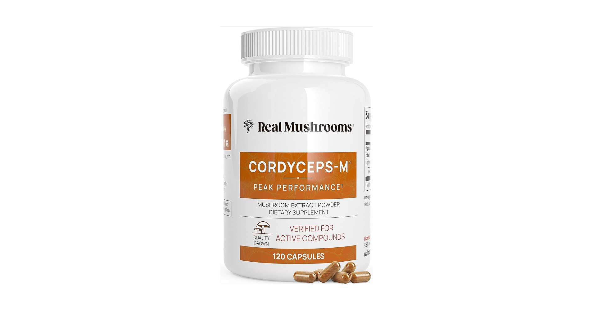 Cordyceps supplement powder and capsules