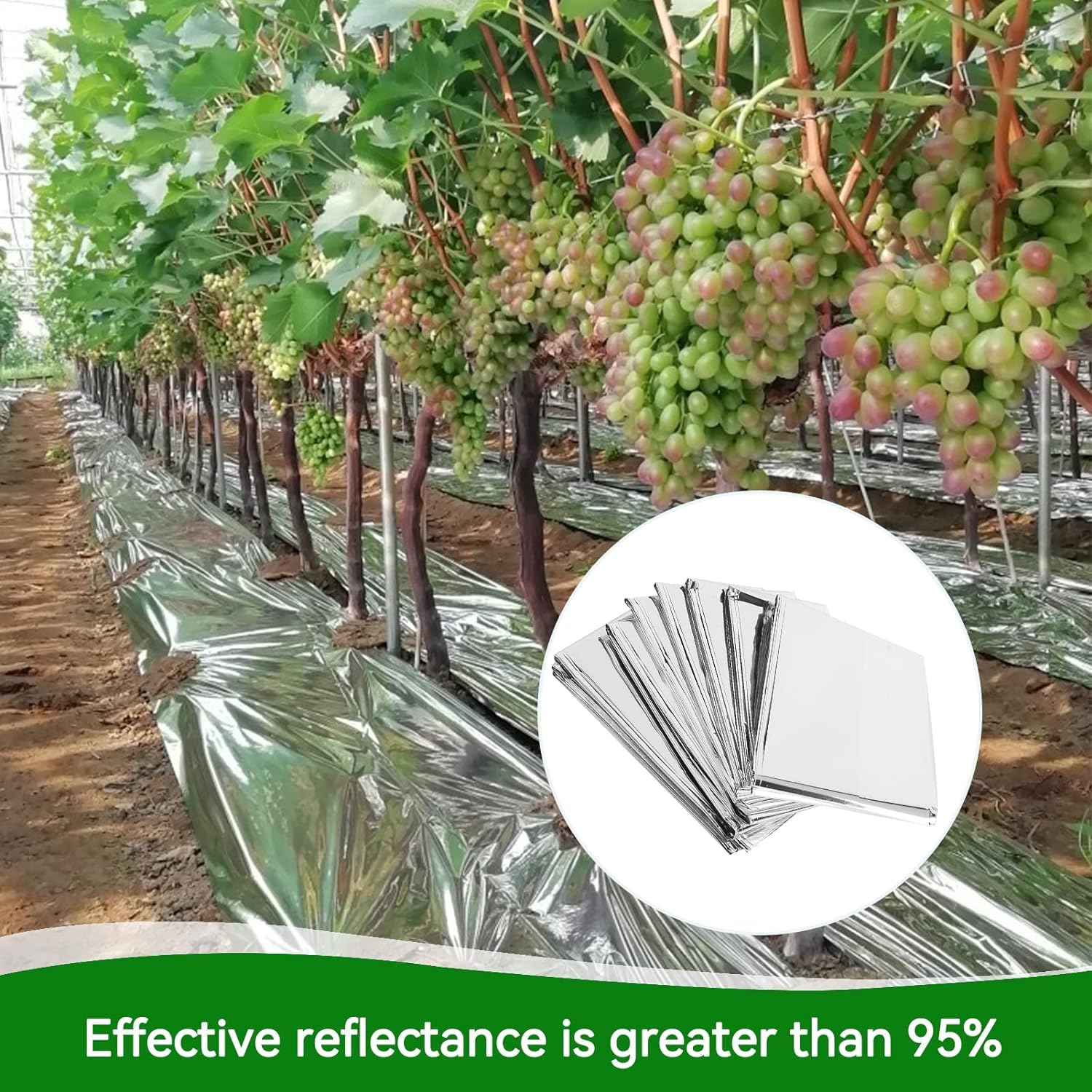 Pellicola Riflettente per Piante, 210 x 120 cm Telo Riflettente Riflettente per Piante Plant Reflective Film Serra da Giardino per Luci da Coltivazione Novità