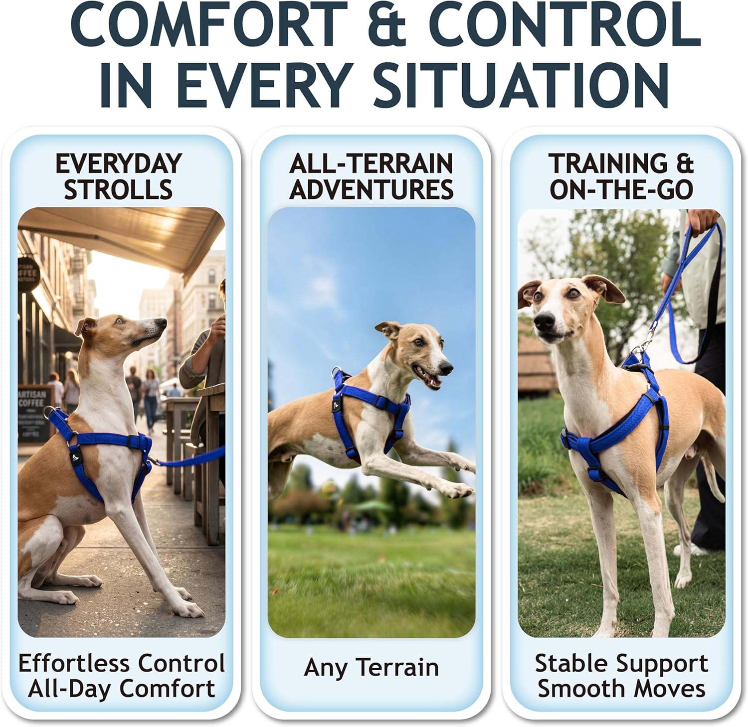 Kruz No Pull Dog Harness (Chest 21”-30”, Weight 22-53 lbs) Heavy-Duty Pet Harness for Medium Breeds, Ultra-Comfort Fit, Lifetime Durability, Adjustable Dog Harness No Pull Design (Blue, Medium)