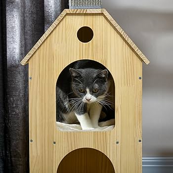 Amazon.com : PawHut 53