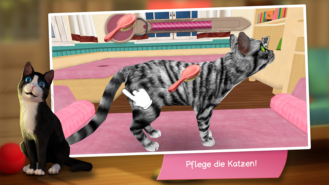CatHotel - Spiele, schmuse und pflege niedliche Katzen und Kater