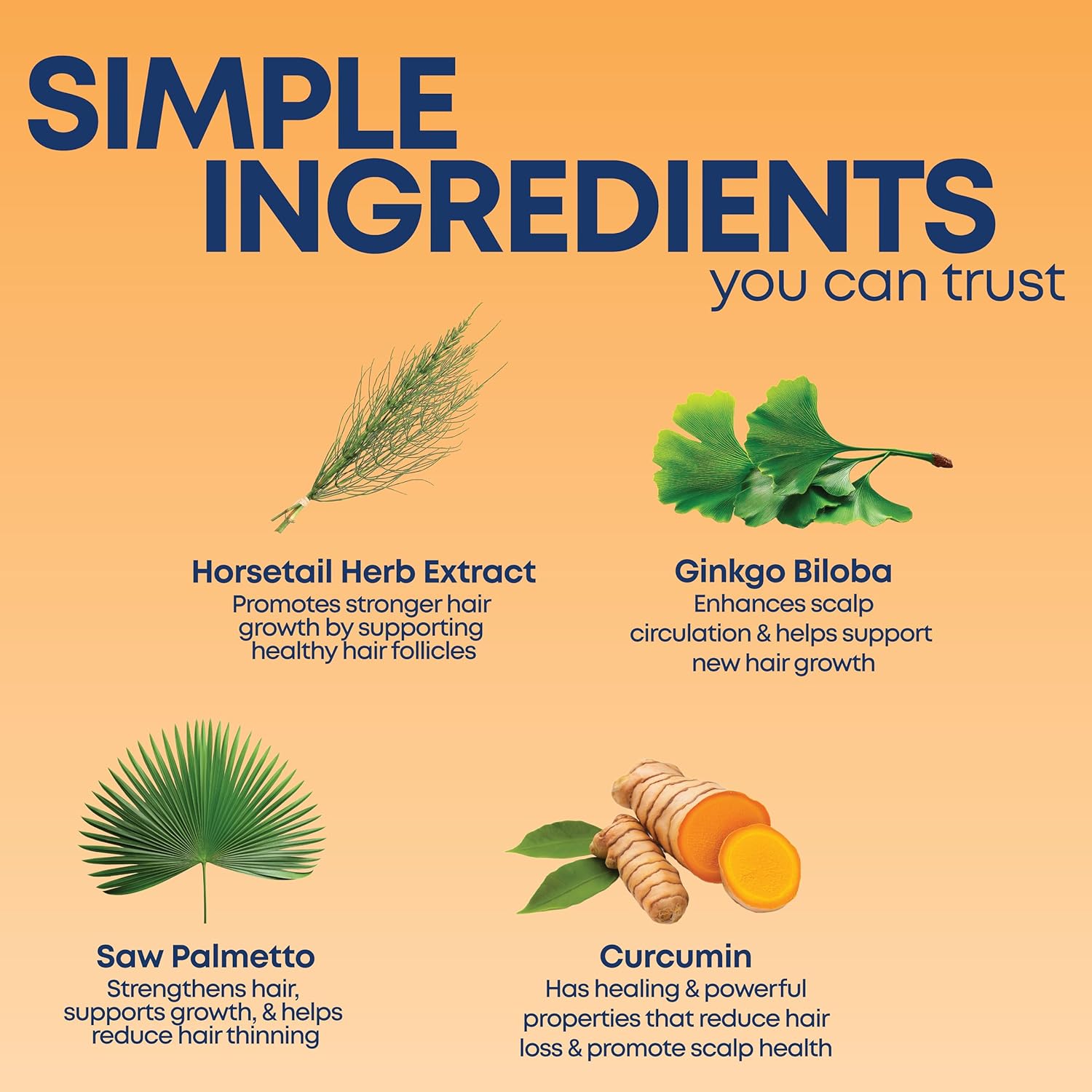 Kiss My Face Thick & Full Shampoo, For Fine and Thinning Hair, Hair and Scalp Care, Ginkgo Biloba and Curcumin, Vegan and Cruelty Free, 16 Fl Oz - Image 5