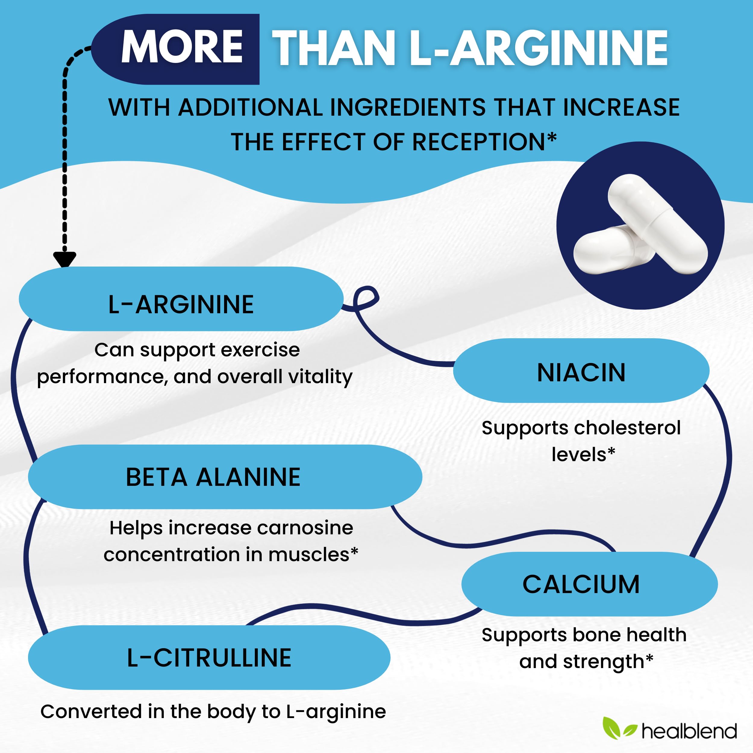 propionyl l carnitine l arginine and niacin Amazon.com: healblend L-Arginine Plus: Calcium, Niacin, L-Arginine Blend, L-Citrulline  Complex & Beta Alanine