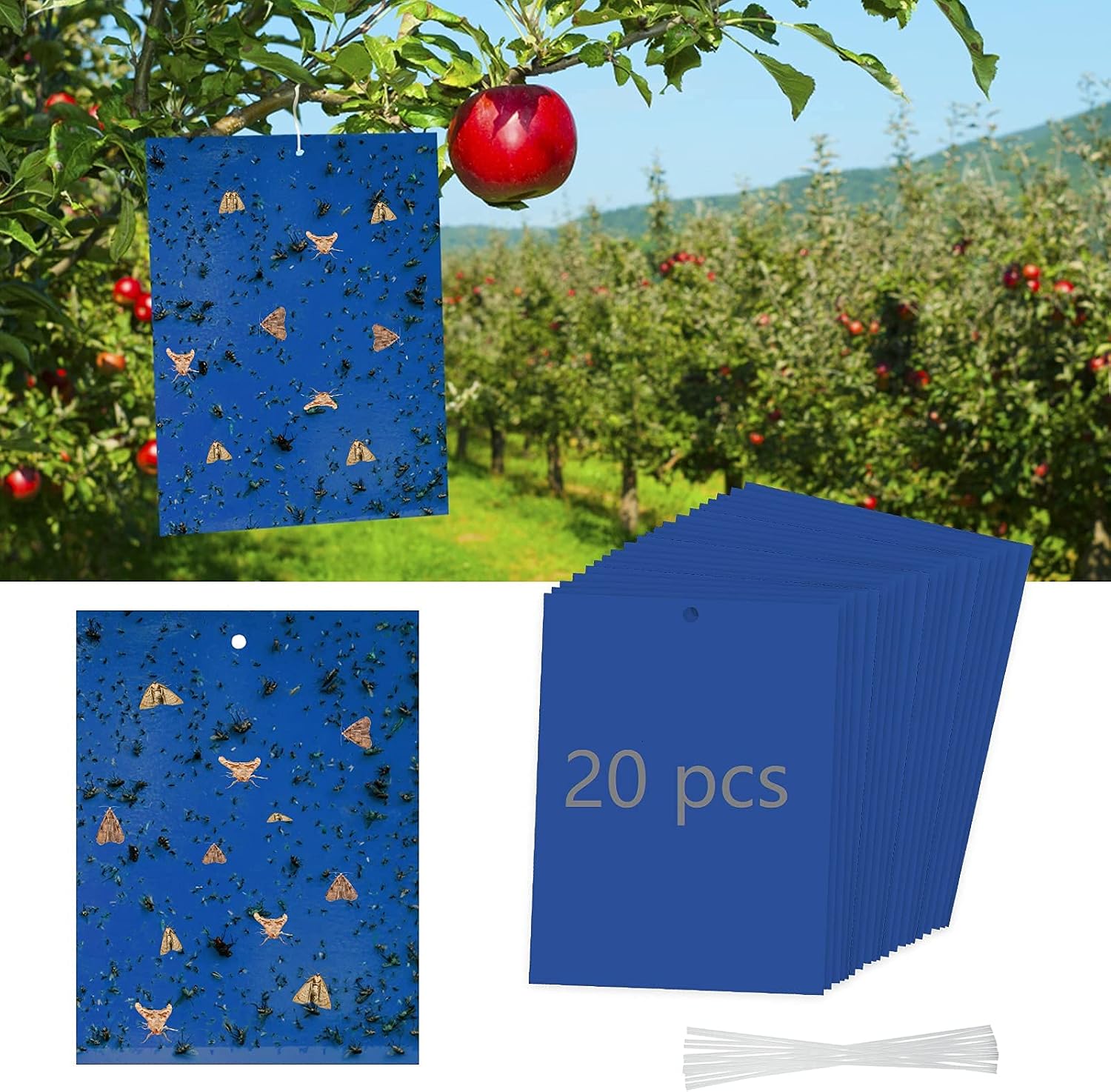 20 Pack Blue Sticky Traps Fungus Gnat Thrips Trap, Fly Paper Fruit Fly Moth Traps Gnat Killer Farm Orchard Pasture Use
