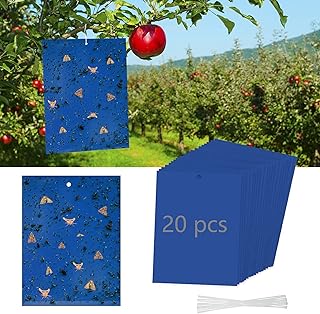 Dwcom 20 Pack Blue Sticky Trap Fungus Traps, Gnat Killer Fruit Fly Paper Moth Traps for Thrips Indoor Outdoor