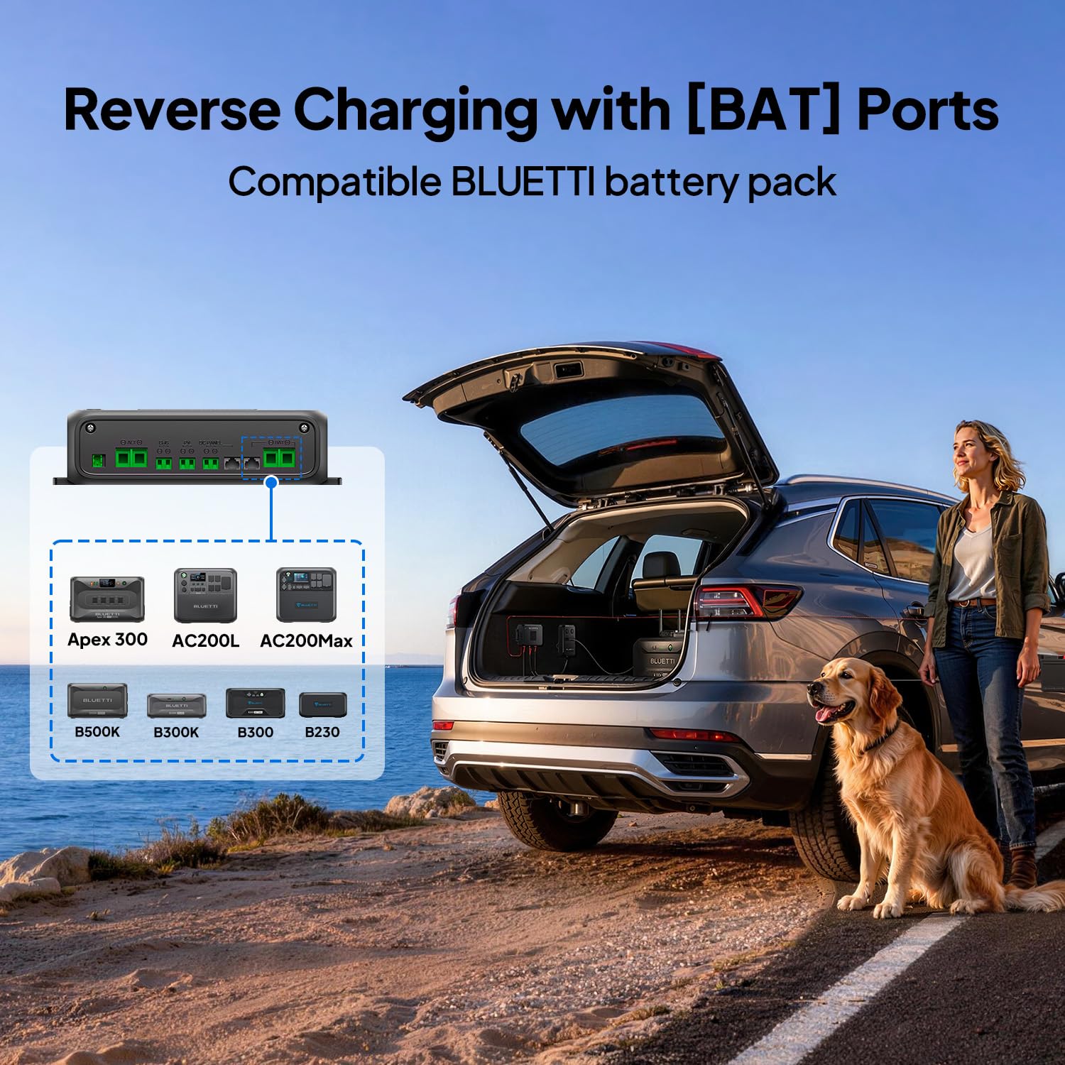 Amazon.com: BLUETTI Charger 2, 1200W Alternator & DC-DC Charger