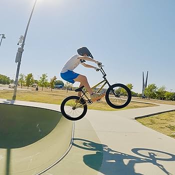 Amazon.co.jp: cubsala 20インチ キッズバイク フリースタイル