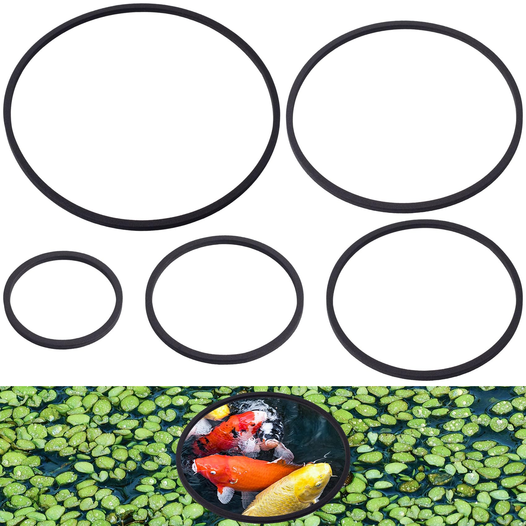 PAGOW 5pcs Fish Feeding Rings Set, Floating Aquarium Plant Corral, Round Fish Feeder Rings for Fish Tank, Floating Plant Ring, Fish Tank Aquarium