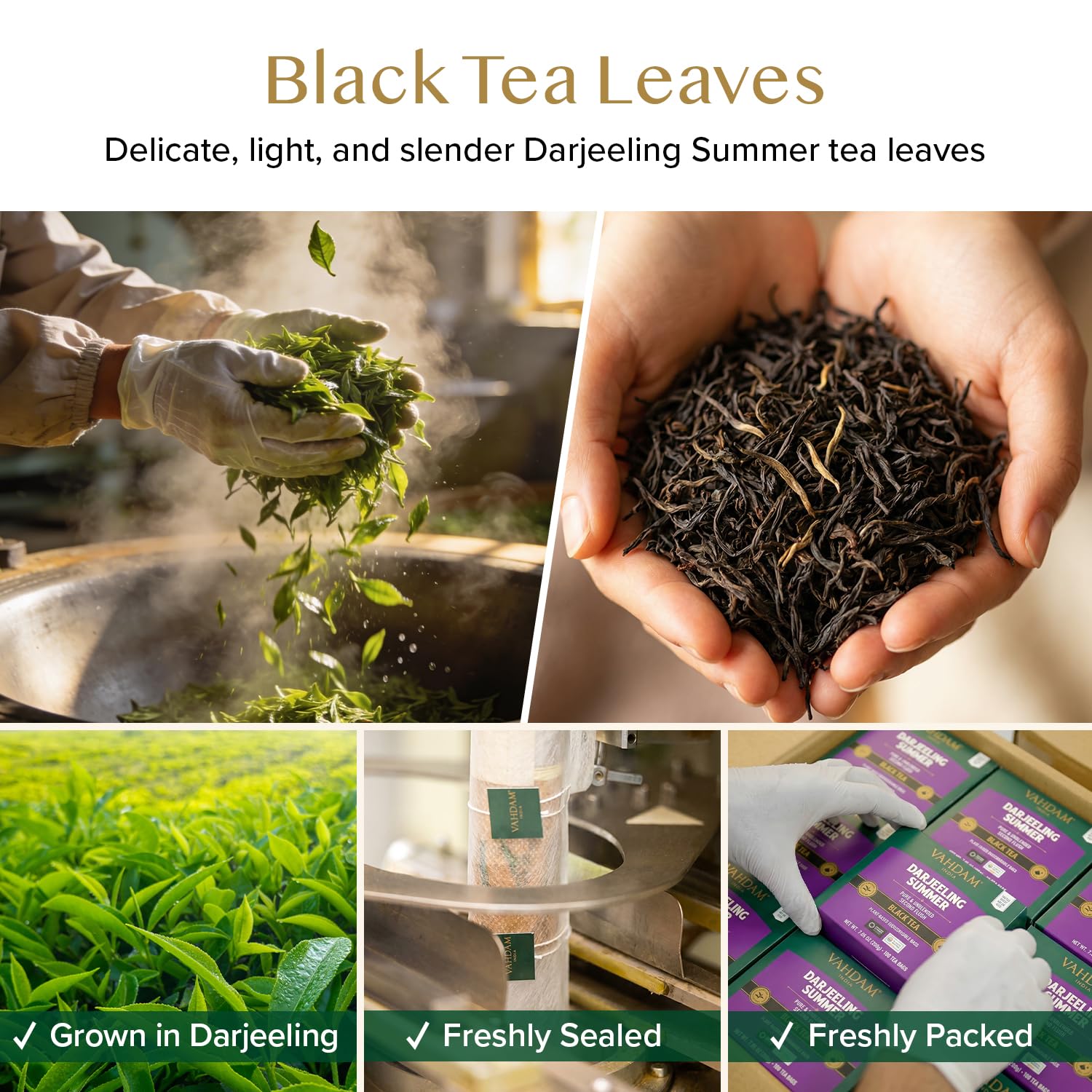 VAHDAM, Tè Nero Darjeeling (100 Bustine) Alto Tenore di Caffeina | Forte, Robusto e Aromatico | Darjeeling Second Flush | The Nero in Bustina | In Bustina Richiudibile con Chiusura Ermetica