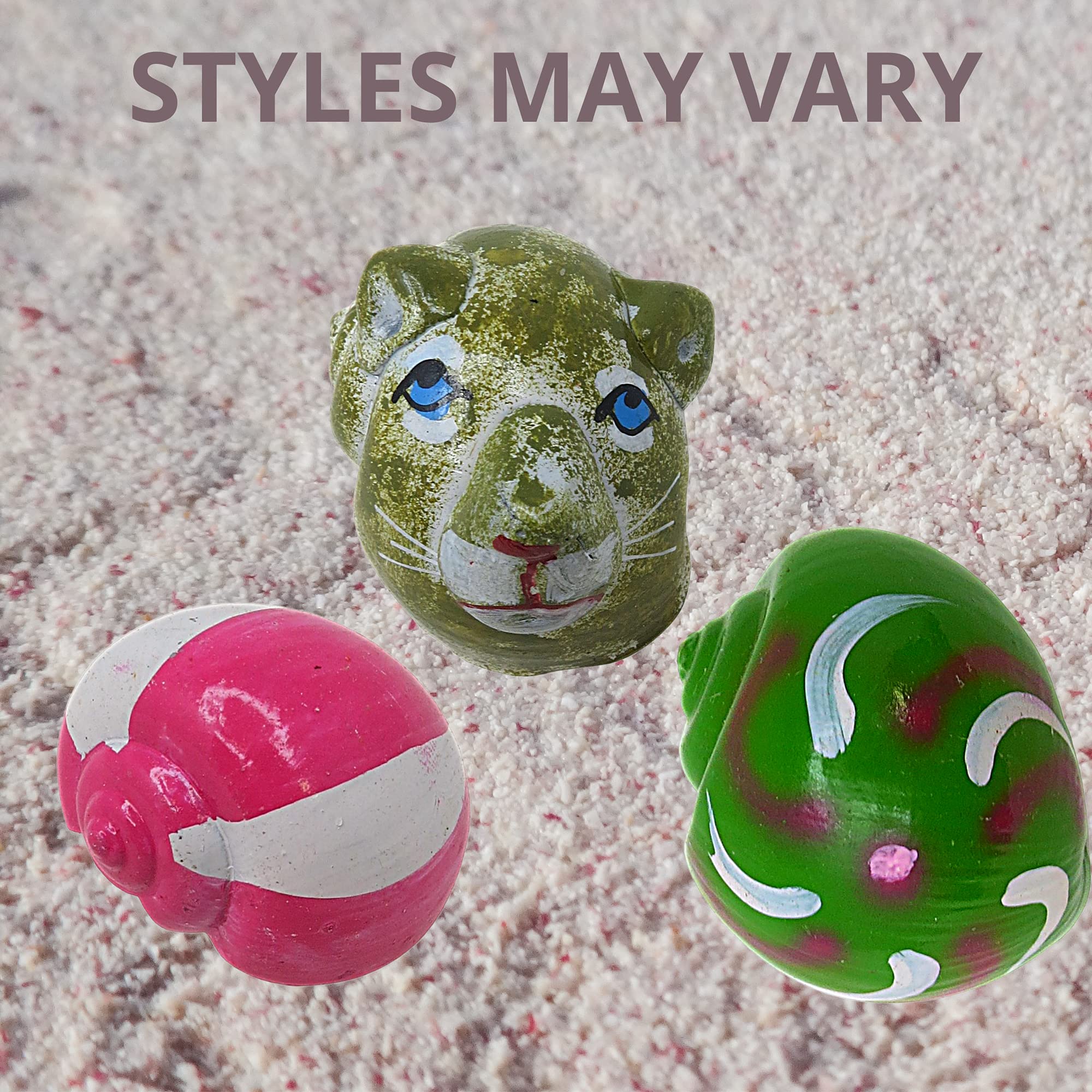 Needzo Hand Painted Hermit Crab Shells for Home Decoration and DIY Craft, Natural 3D Turtle Decorated Shell for Crabs, 2.5 Inches, Assorted Styles, Pack of 2