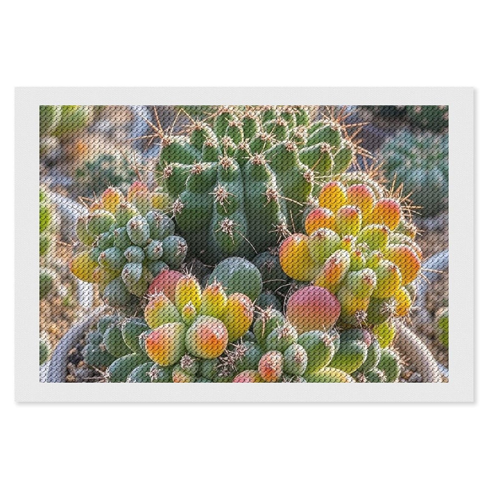 Cute Succulent Cactus Diamond Painting Kits for Adults, DIY 5D Diamond Painting Kits for Beginners, Round Full Drill Diamond Dots Paintings, Diamonds Pictures Gem Art for Crafts Home Decor 8"x12"