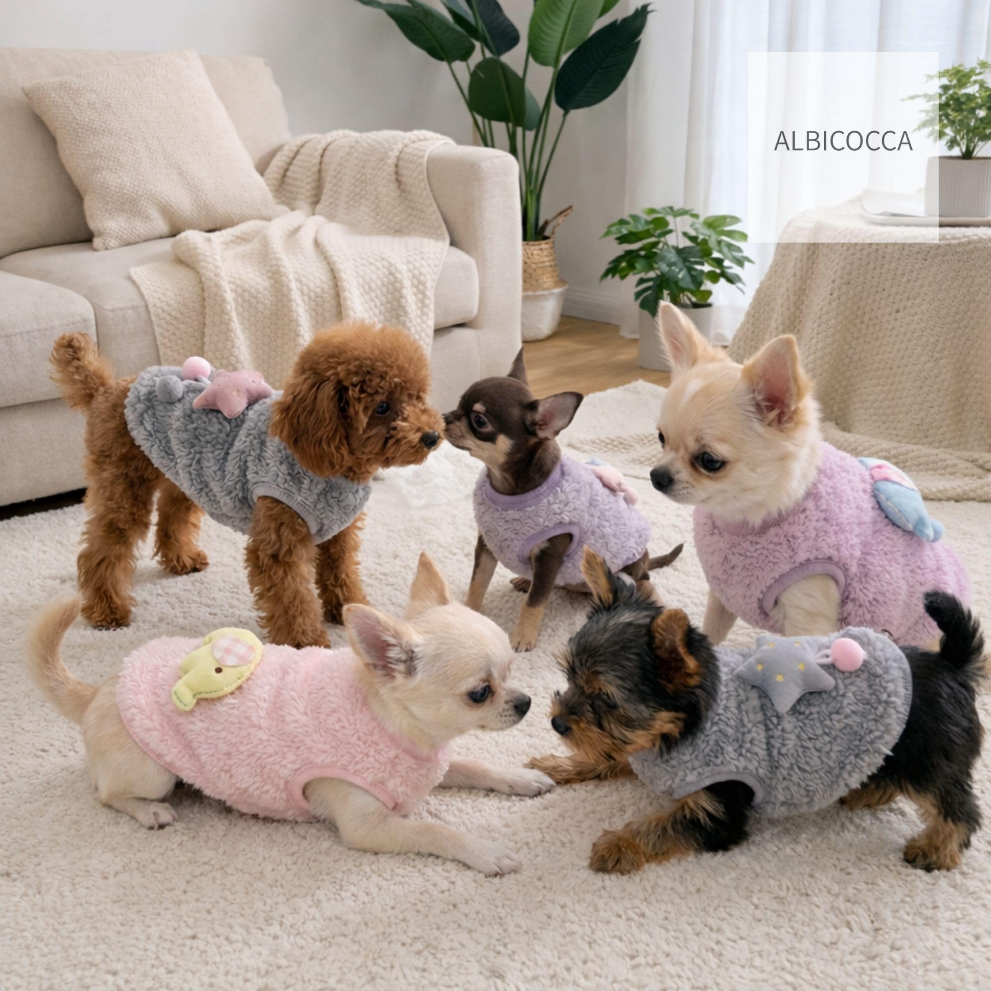 Amazon | ［ALBICOCCA］【XXS専用】超小型犬 犬服 1kg前後対応