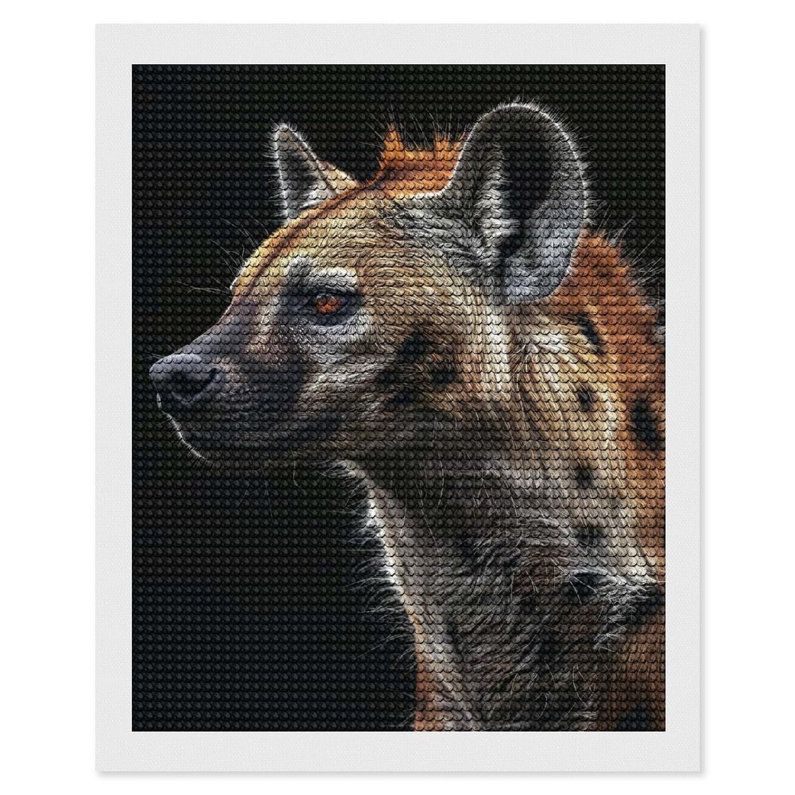 Junmoney Hyena Diamond Painting Canvas Set 16"x20", for Beginners, Complete Accessories, Christmas Gift, Modern Decor