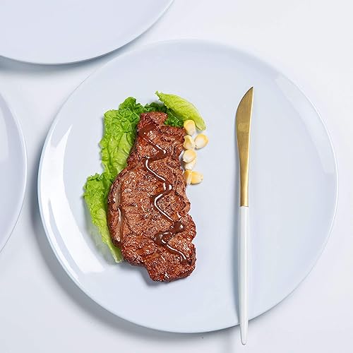 Miniatura 4 de Webbylee Platos llanos de melamina, juego de 6 platos de 10 pulgadas para uso en interiores y exteriores, resistentes a las roturas, color blanco