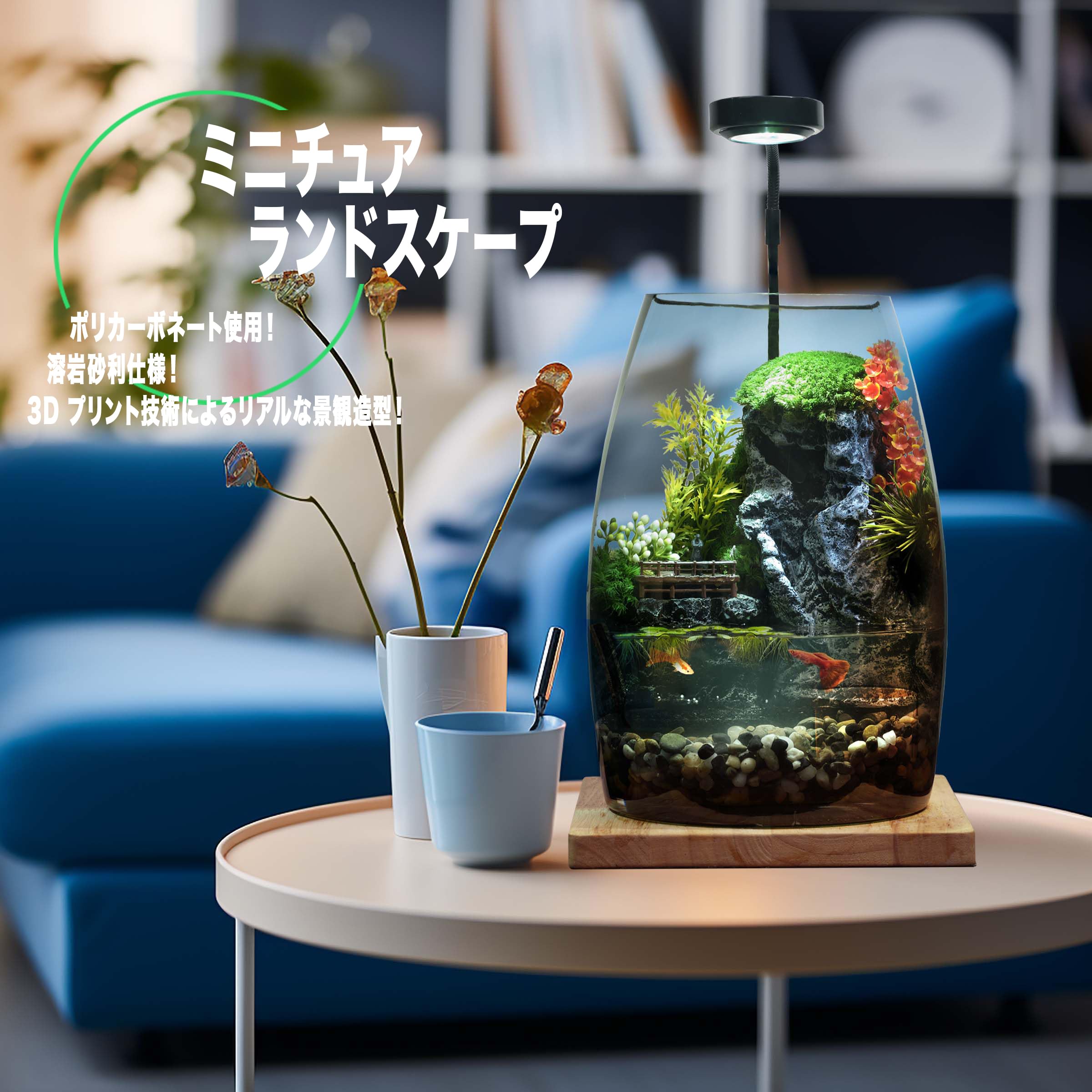 水を入れるだけですぐに始められる ミニチュアランドスケープアクアリウムBセット Amazon | 水を入れるだけですぐに始められる ミニチュア