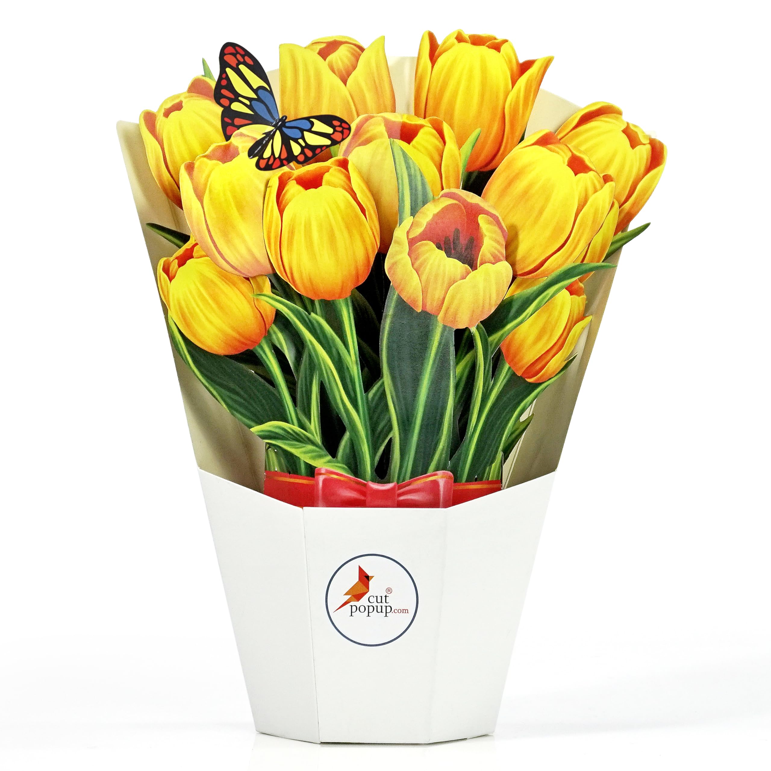 CUTPOPUP White Daffodil - Birthday Cards For Women, Mother's Day