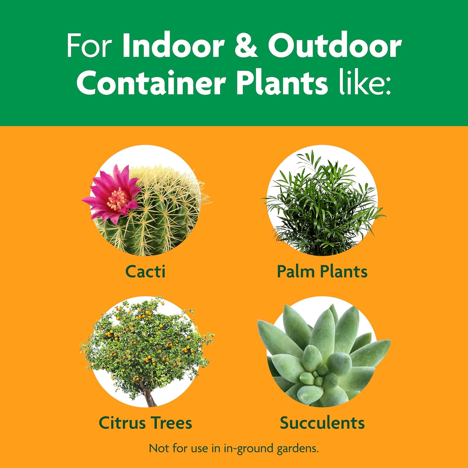 Miracle-Gro Cactus, Palm and Citrus Potting Mix, For Indoor or Outdoor Container Plants, Great for Succulents, 8 qt., 3-Pack