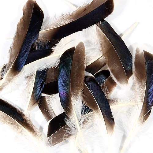 Miniatura 6 de THARAHT 120 plumas de pato natural gris natural de 4 a 6 pulgadas, 10 a 5.9in, a granel para manualidades, carnaval, trabajo, ropa, disfraces,