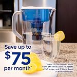 PUR 7-Cup Pitcher Water Purifier Filter with 1 Genuine PUR Filter, Small Capacity, 2-in-1 Powerful, Faster Filtration, Lasts 2 Months or 40 Gallons, Dishwasher Safe, White/Blue (PPT700W)