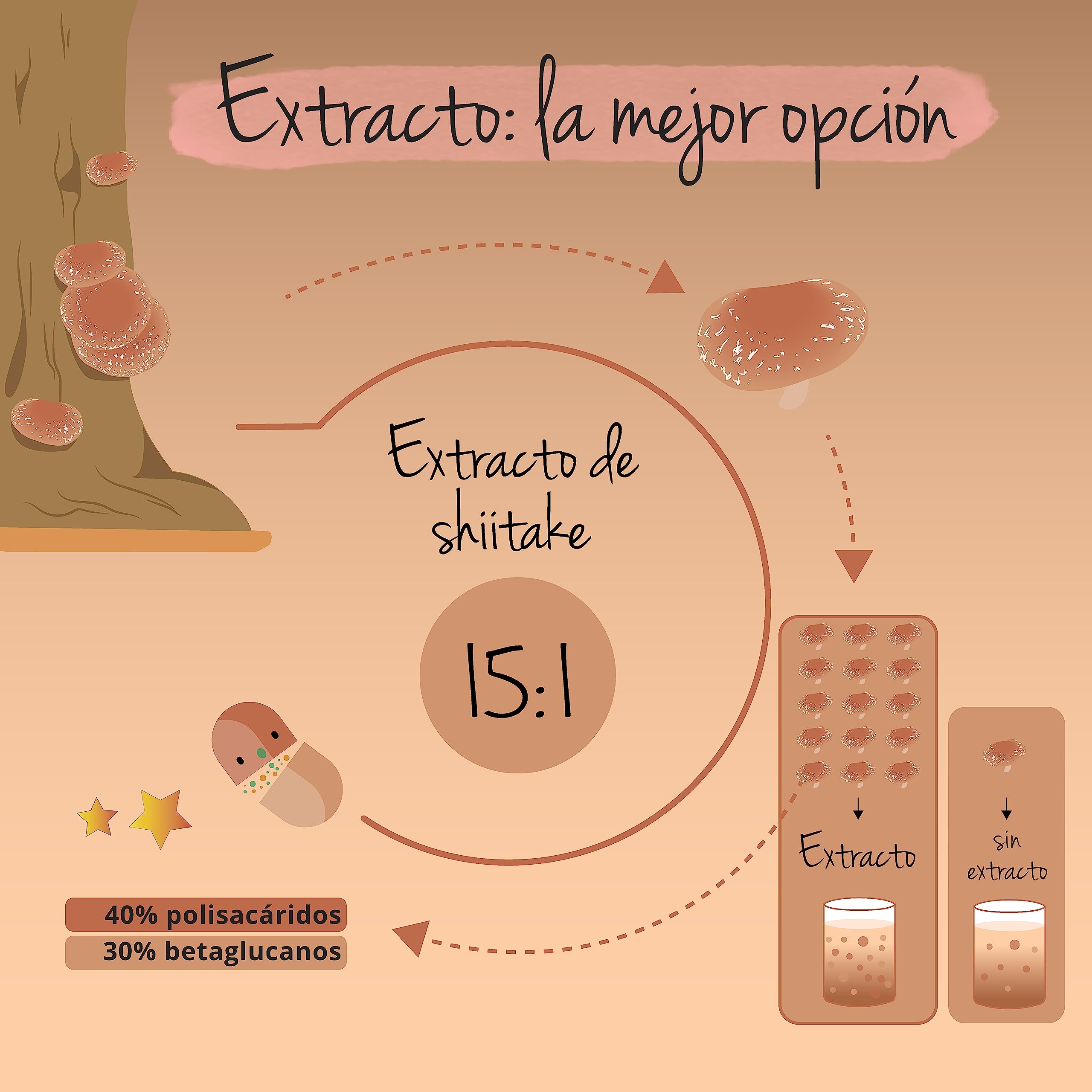 Shiitake Vegavero | 11150 mg | 40% Polisacáridos + 30% Betaglucanos | SIN ADDITIVOS | Sistema Inmunitario + Estrés + Ansiedad | Ayurveda | 120 Cápsulas | Vegano