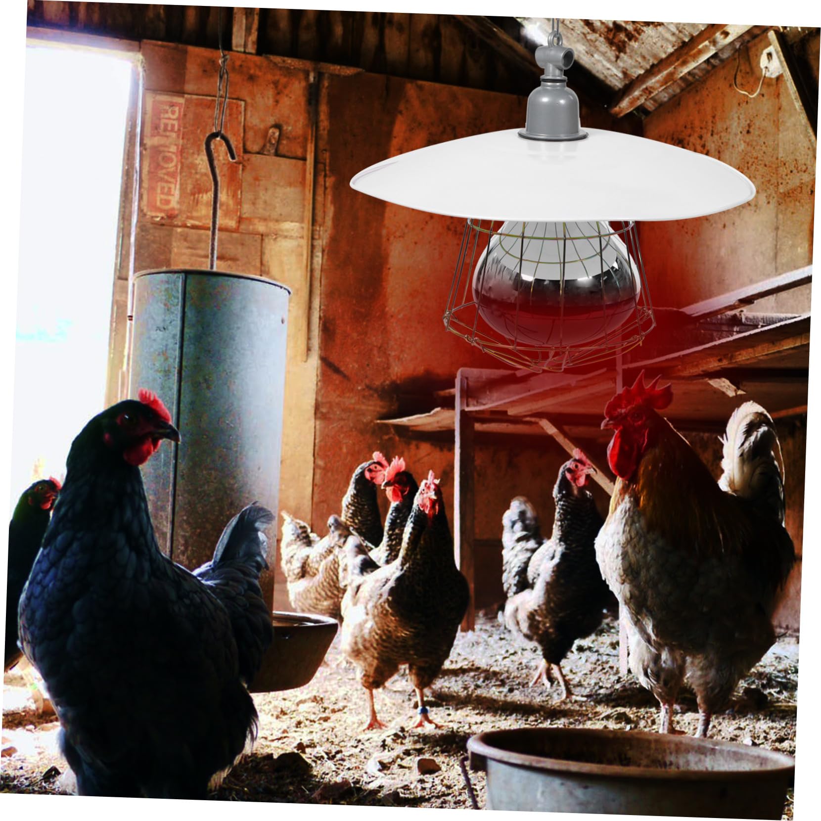 Lampada Riscaldante Colore Casuale Alta Sicurezza e Resistente Coprilampada in Metallo e Alluminio per Bestiame per Gabbie di Animali Domestici e Suinetti
