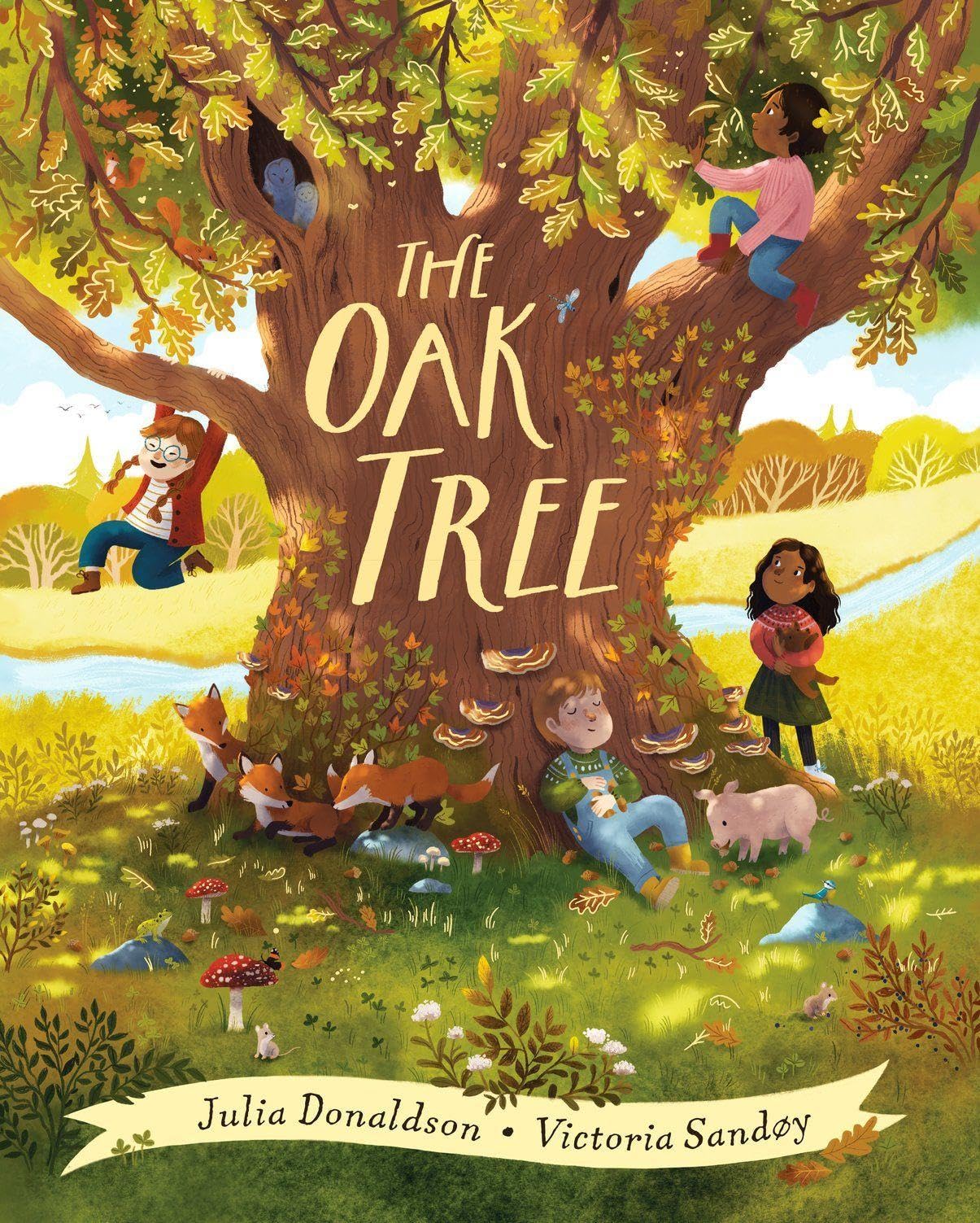 Scholastic The Oak Tree