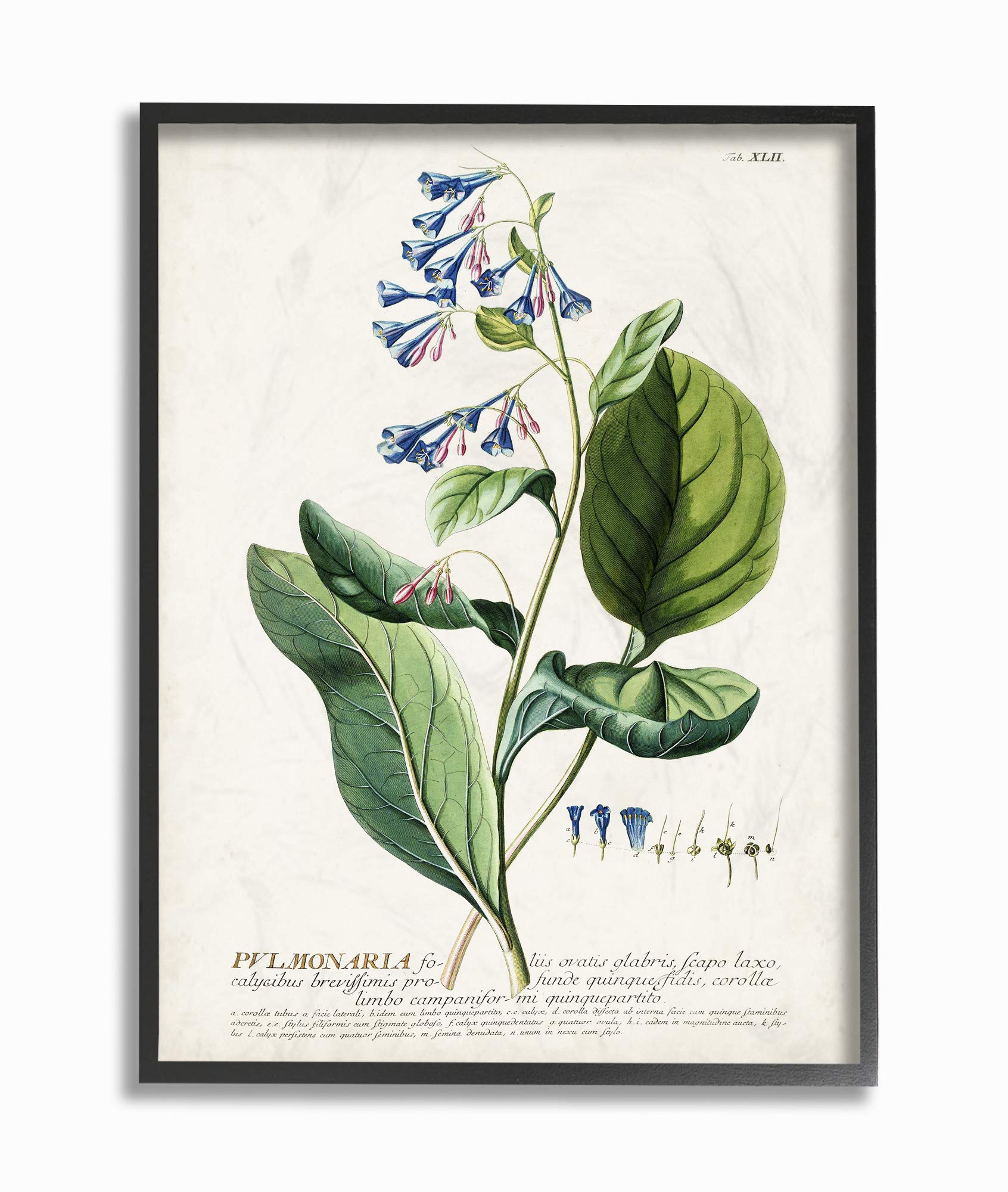 Stupell Industries Botanical Plant Illustration Blue Flowers Vintage Design Black Framed Wall Art, Multi-Color, 11 x 14