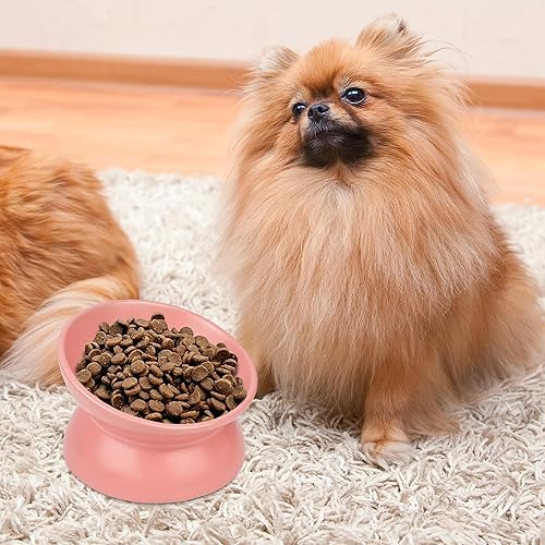 Miniatura 7 de PAILUOMU - Tazones elevados de cerámica para gatos, juego de 2 cuencos elevados inclinados para alimentos y agua para mascotas, plato comedero para