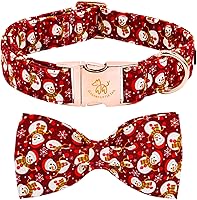 Vista 31 de Elegant little tail - Collar de otoño para mascotas con corbatín, lindo collar de Halloween con estampado de flores y calabaza para cachorros
