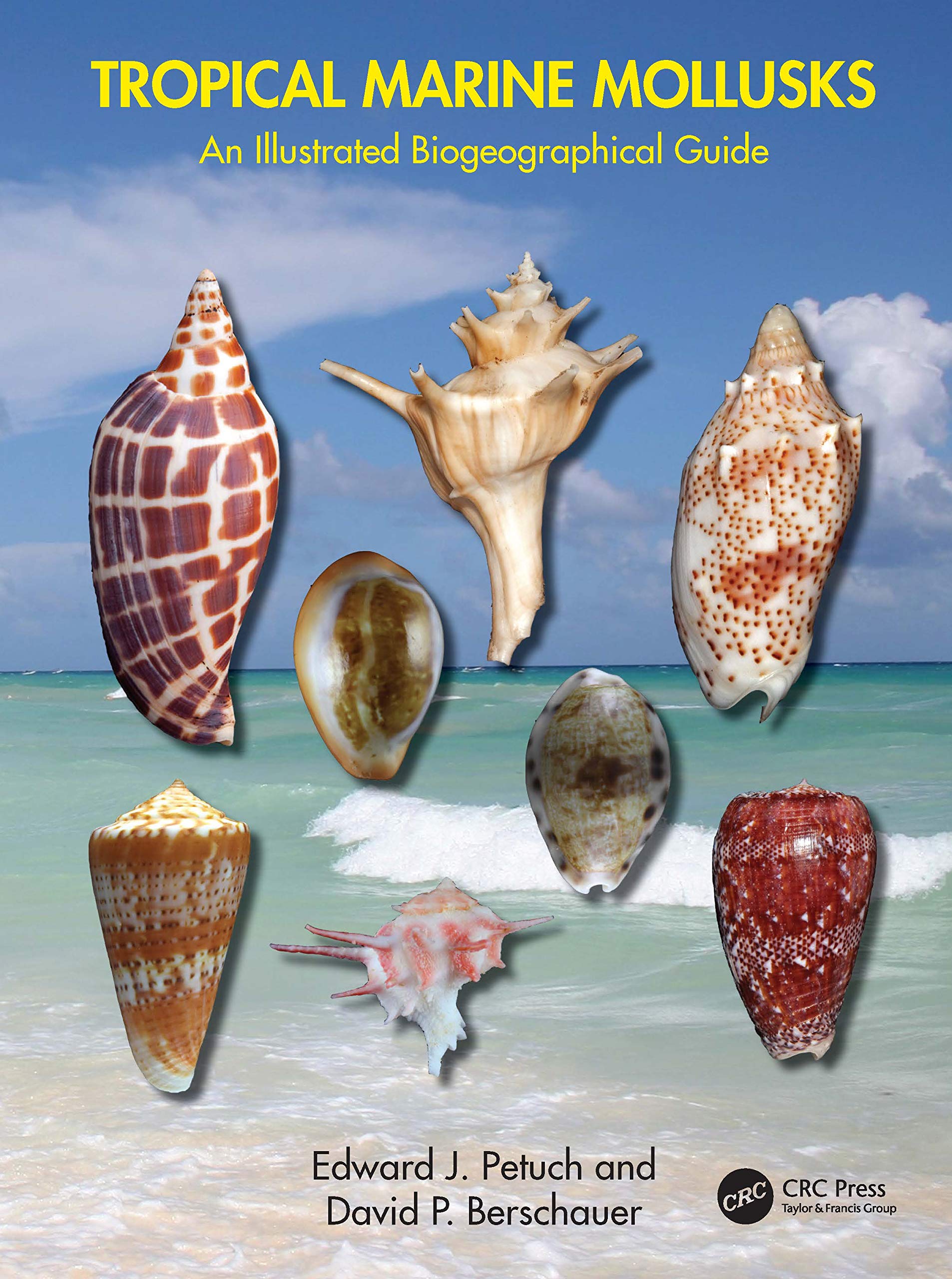 Edward J. PetuchTropical Marine Mollusks