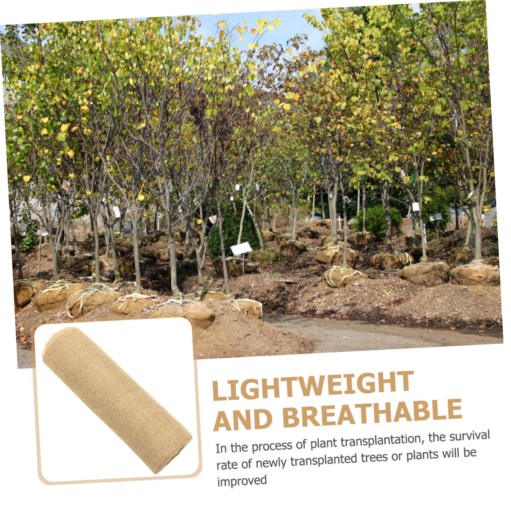 Mikikit 1Rotolo Involucro Protettivo per Juta Naturale Protezione per Piante Riutilizzabile Giardinaggio e Paesaggistica