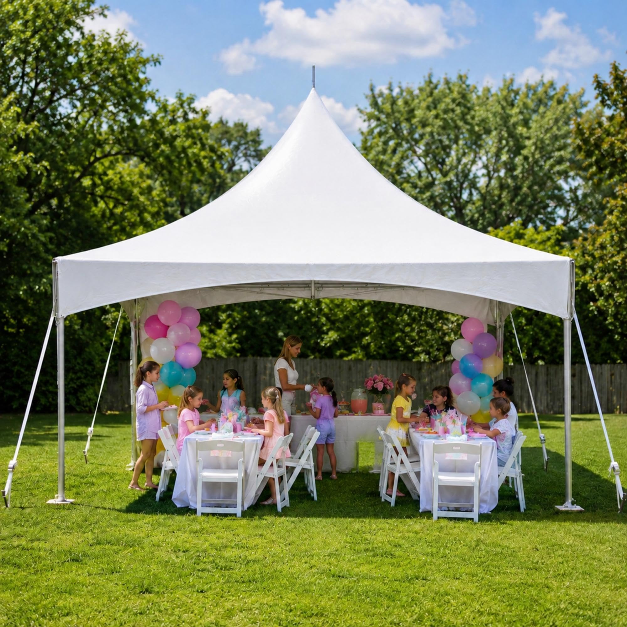 TentandTable 10' x 20' Premium High Peak Frame Party Tent, White Top
