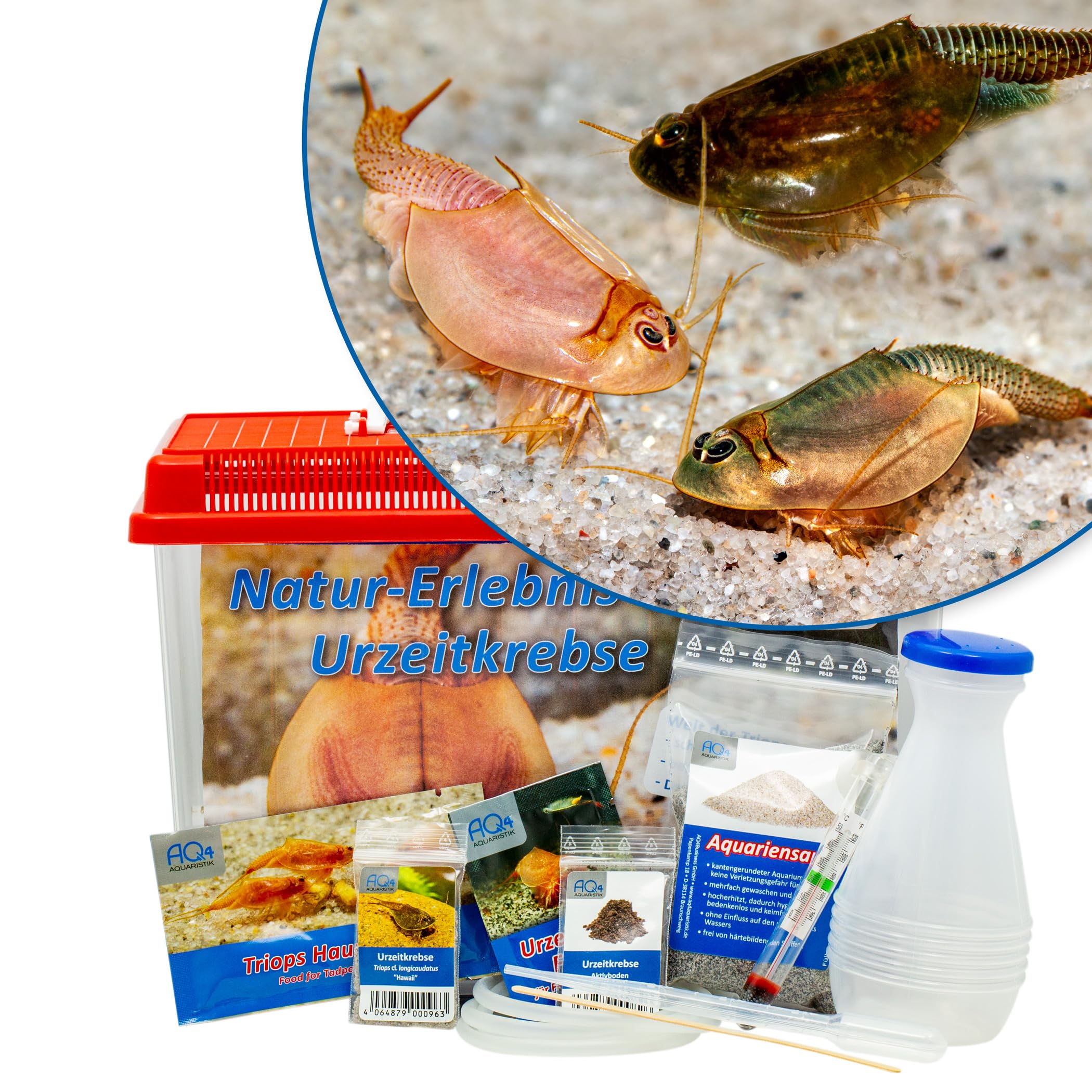 Triops Natur-Erlebnis-Set Urzeitkrebse mit 2,5 l Aquarium, Eier, Zubehör, Aktivboden, Futter, ausführlicher Anleitung