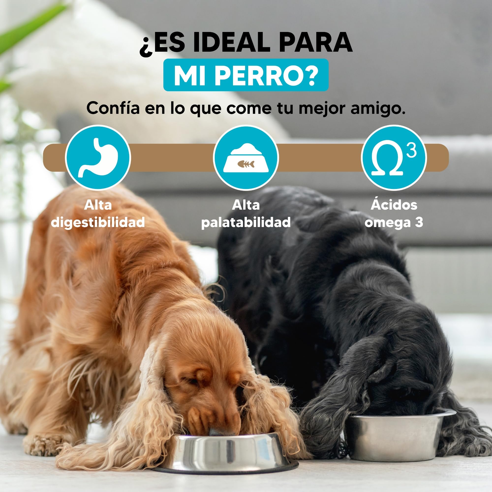 Yerbero Nature Salmon & Rice, Pienso para Perros sin Gluten con Salmón,Pienso Hipoalergénico para Perros con Alta Digestibilidad con Omega 3 para Pelo Brillante (Salmón y arroz) 10kg