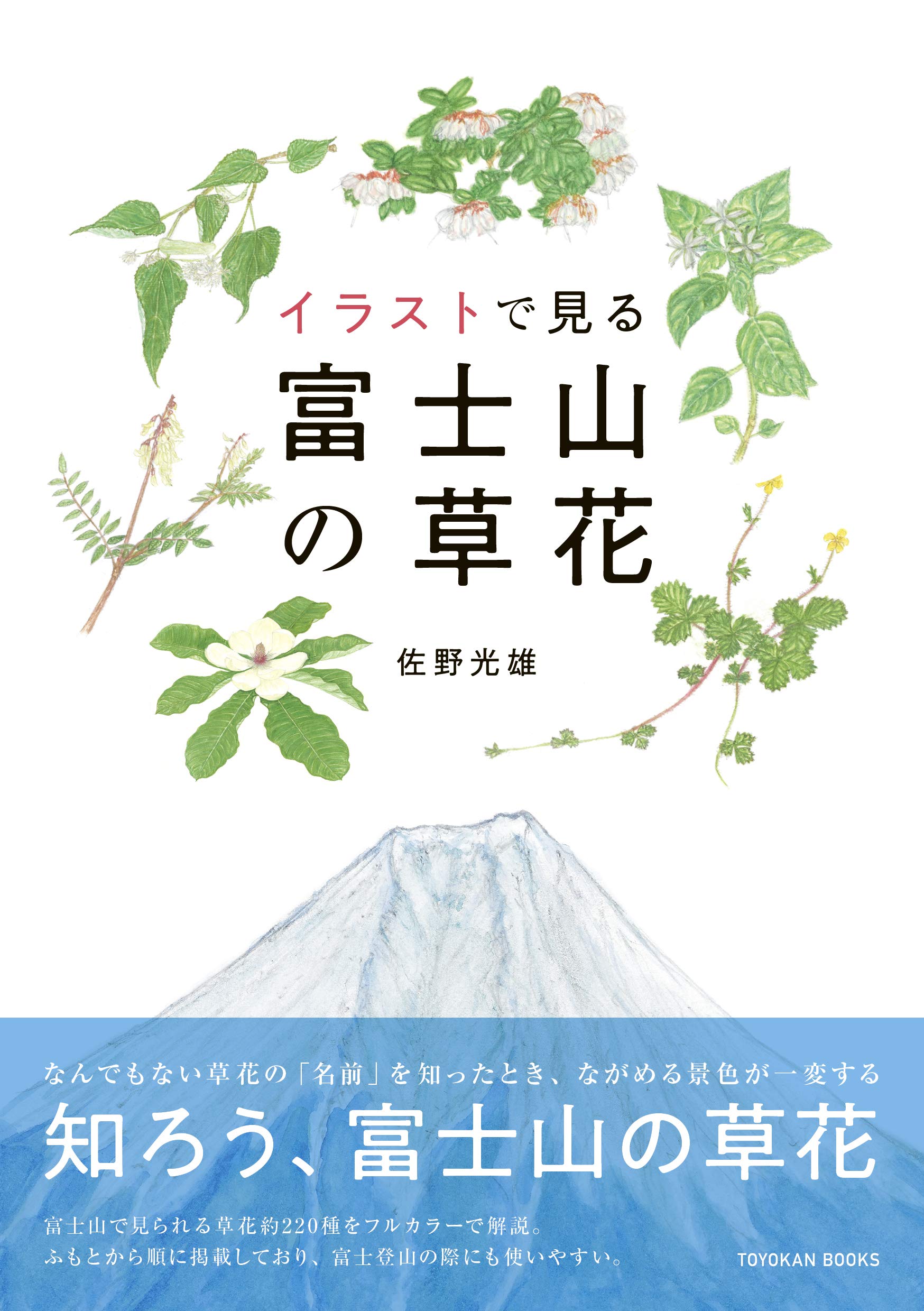イラストで見る富士山の草花 佐野 光雄 本 通販 Amazon