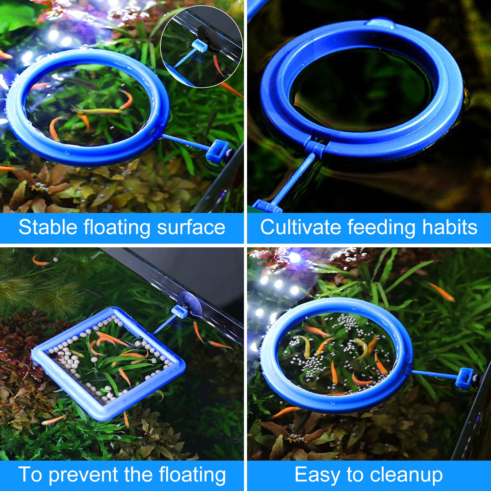 Cobee Lot de 2 mangeoires pour poissons d'aquarium - Accessoires circulaires pour gupy, Bettas, poissons rouges, tortues (bleu)