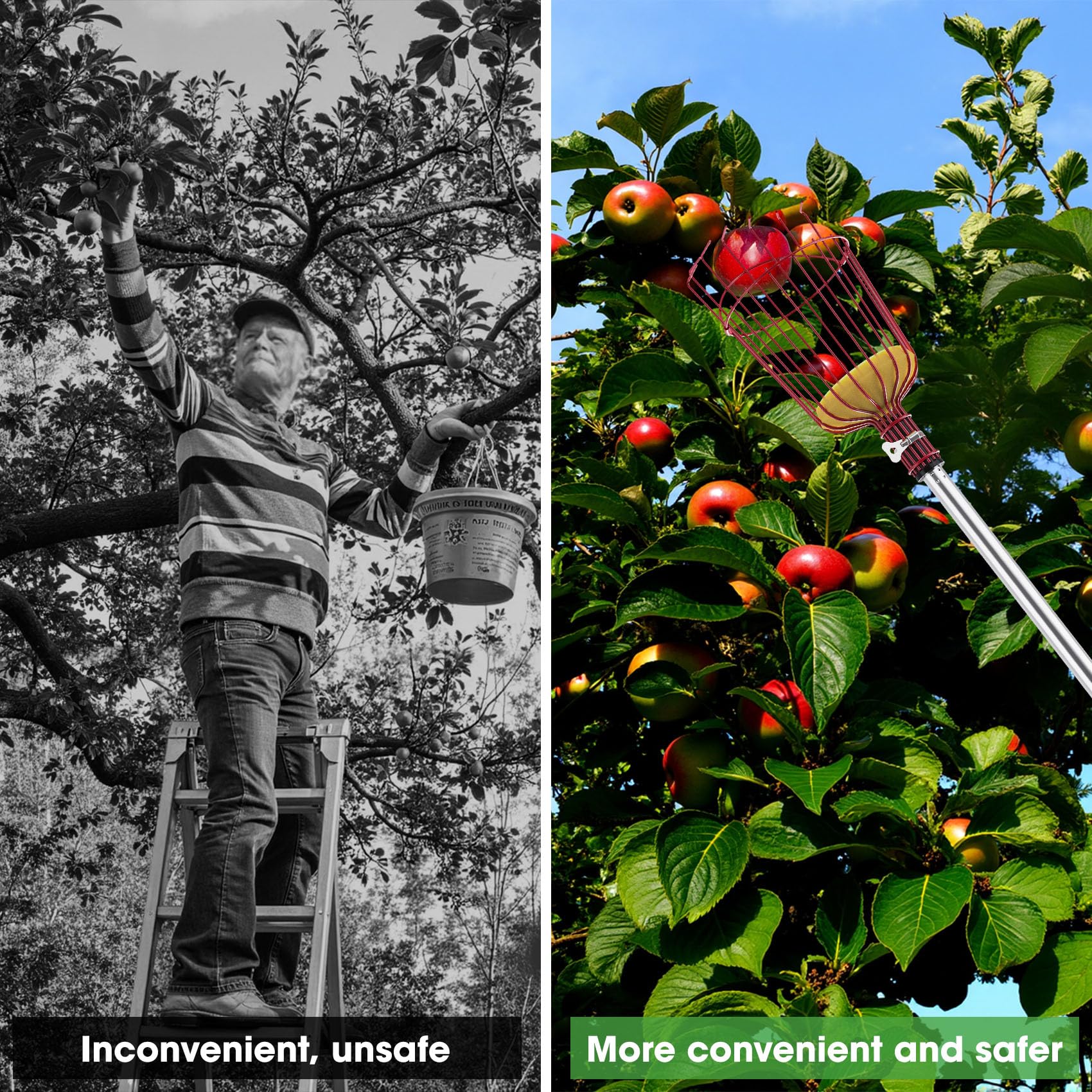 Recogedor de frutas de 3,2 m, recogedor de frutas, recogedor de frutas con mango, fácil de montar, extensión de empalme ajustable