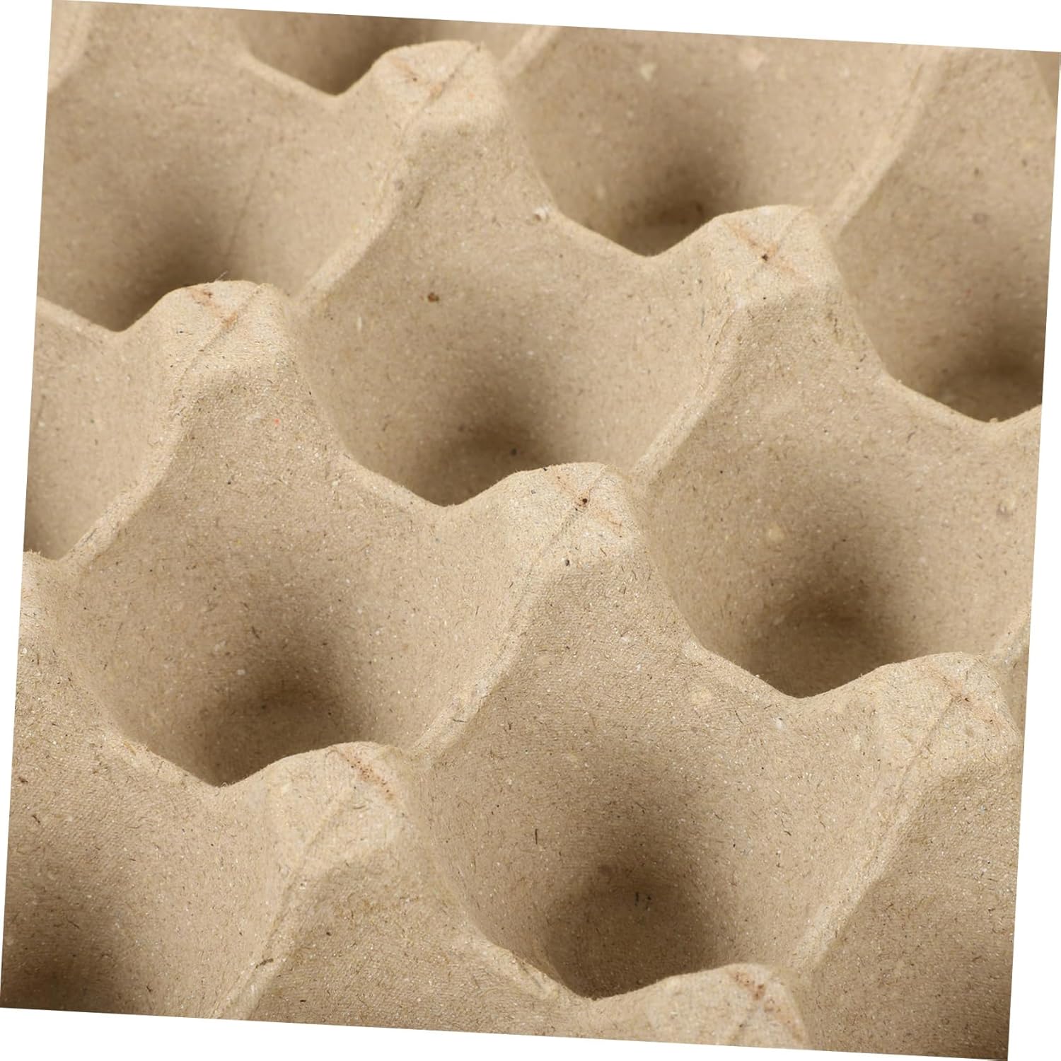 Ciieeo 5pcs Paper Pulp Egg Trays for Eggs Lightweight and Holder for Refrigerator Organization and Safe Storage