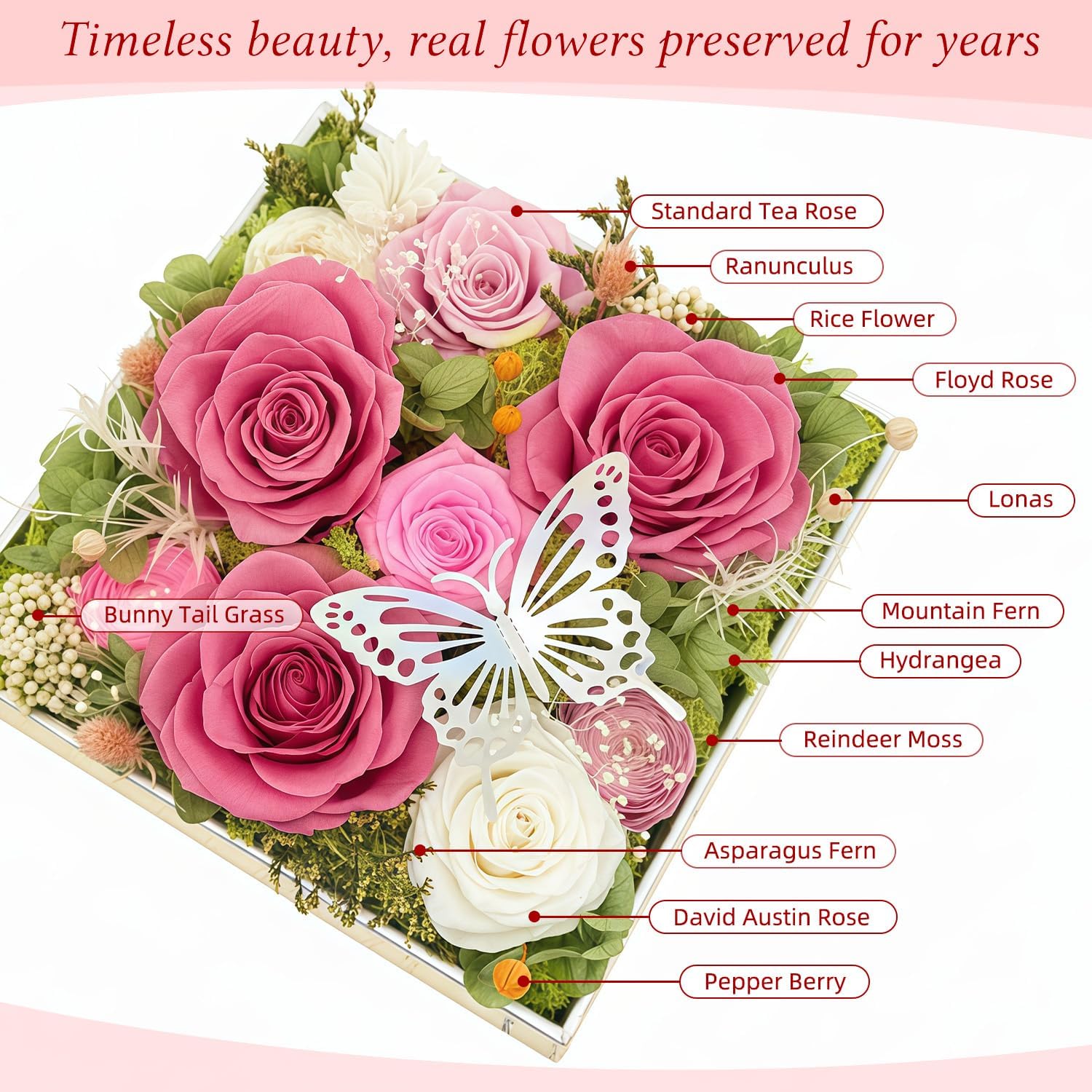 HipTree Preserved Pink & White Rose with Butterfly - Forever Eternal Real Austin Rose Gifts for Women, Valentine’s Day Mother’s Day Birthday Christmas Wedding Anniversary for Mom Wife Girlfriend - Image 3