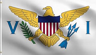 DMSE U.S. Territory Virgin Islands Caribbean St. Thomas Flag 3X5 Ft Foot 100% Polyester 100D Flag UV Resistant (3' X 5' Ft Foot)