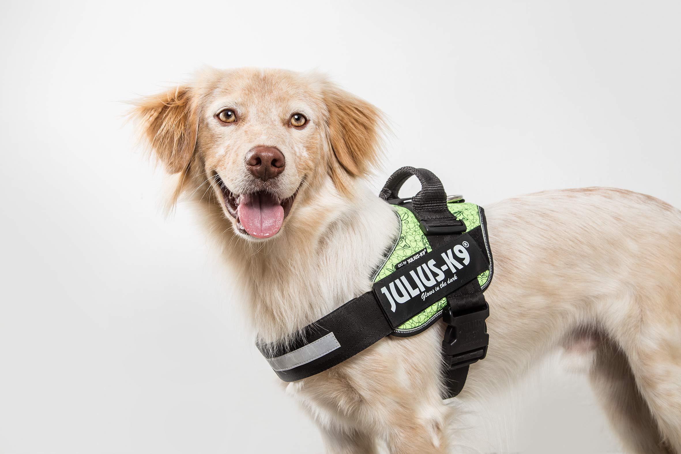 Julius-K9 IDC Powerharness, Camouflage, M/0 — view 880